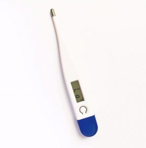 Portable Digital Thermometer (Sea Shipping)