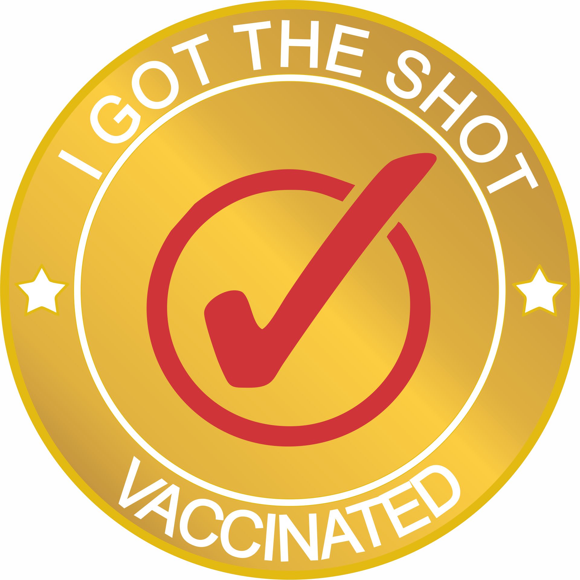 Displayed Image COVID 19 Vaccinated Lapel Pin
